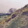 Angela Harrower - @angela.harrower - TikTok