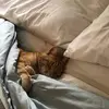 angela.hay - @angela.hay - TikTok