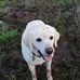 Angie Heggie - Facebook