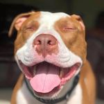 Angela Heim - @angela.heim.9 - Instagram