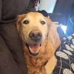 Angela Heimer - @angela.heimer28 - Instagram
