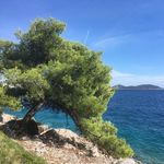 Angela Heyl - @angelaheyl - Instagram