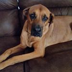Angel Higdon - @angel_higdon1234 - Instagram