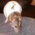 Angela Higdon - Facebook