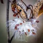 Angela Higgins - @artpicangela - Instagram