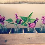 Angela Hoag - @rusticlilachome - Instagram