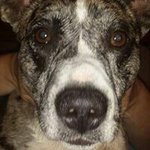 Angela Holcomb - @aholcomb76 - Instagram