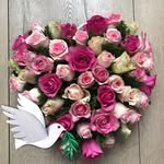 Angela Holleman - @holleman27 - Instagram