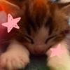 Angela 😸 - @angelahumanax - TikTok