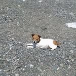 Angela Hutchinson - @angela59.huthinson - Instagram