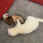 Angela & Ivy - @_angela_ivy_ - Instagram