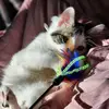 angelajamerson4 - @angelajamerson4 - TikTok