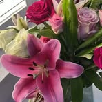 Angela Jaques - Facebook