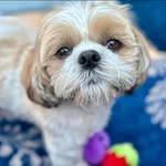 Angela Jarrett - @nannylulu28 - Instagram