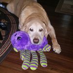 Angela Baker Jester - @angelabakerjester - Instagram