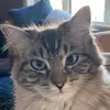 angelakarasek - @angelakarasek - TikTok