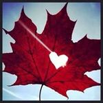 Angela Kasper - @radskboo - Instagram