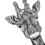 Angela Kasper - @giraffegirlable14 - Instagram