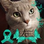 Angela Kern - @angela.kern.10 - Instagram