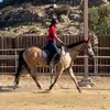 Angela L - @angelalanderosheals - TikTok