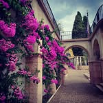 Angela Lanham - @angelalanham66 - Instagram