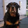 Angela Lapp - @angela.lapp - TikTok