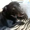 angelarner - @angelarner - TikTok