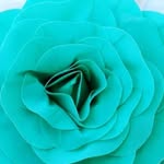 Angela Ledbetter - @angela.ledbetter.90 - Instagram