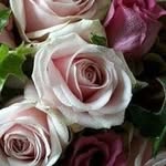 Angela Lepore - @angela.lepore.9828 - Instagram
