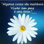 Angela Levy - @angela.levy.984 - Instagram