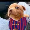 Angela.Levy - @angelalevysjfmmuzo - TikTok
