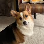 Angela Loftus - @luvmyhawks2 - Instagram