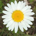 Angie - @angelaloftusvanschoelandt - Instagram