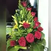 Angela Loredo - @angela.loredo - TikTok