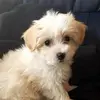 Angela Lunn-Marcustre - @angela.lunnmarcus - TikTok