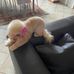 Angela Luzzi - Facebook
