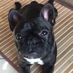 Angela Manno - @amanno1958 - Instagram