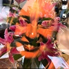 ange - @angelamansell6 - TikTok