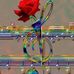Angie Manson - Facebook