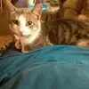Angela Mays - @angela.mays3 - TikTok