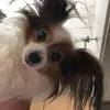 angelameier281 - @angelameier281 - TikTok