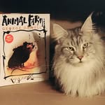 Angela Middaugh - @lightbulbacademics - Instagram