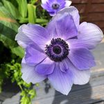 Angela Milton - @milton5629 - Instagram