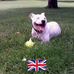 Angela Milton - Facebook
