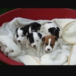 Angelamingarelli - @angelamingarelli4 - Instagram