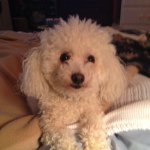 Angel Fay Moorman - @quizene_angel - Instagram