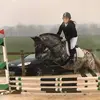 Angela Morabito - @angelamorabito74 - TikTok