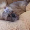 Angela Moro - @angelamoro4 - TikTok
