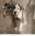 Angela Mullis - Facebook