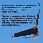 Angela Murillo - Facebook